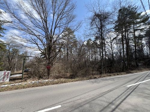 885 sqm Vacant Land for Sale in Tsumagoi Village, Gunma - Thumbnail 2