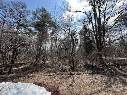 885 sqm Vacant Land for Sale in Tsumagoi Village, Gunma - Thumbnail 4