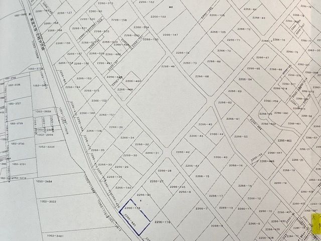 885 sqm Vacant Land for Sale in Tsumagoi Village, Gunma - Thumbnail 3