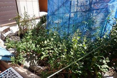 Traditional 6K House in Minamiise Town - Corner Lot with Multiple Parking — Image 2, Minamiise, Mie