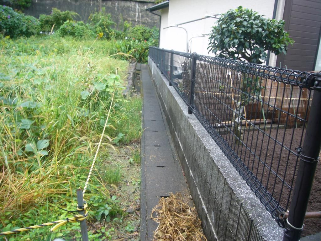 Seaside Land for Sale in Uki City, Kumamoto - 364.57 sqm - Thumbnail 3