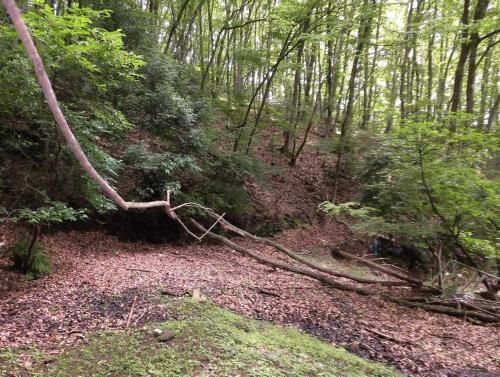 Akiya Bank: Secluded 3K Mountain House in Kiryu, Gunma - Thumbnail 4