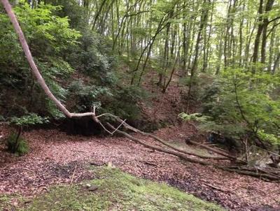Akiya Bank: Secluded 3K Mountain House in Kiryu, Gunma — Image 11, Kiryu, Gunma
