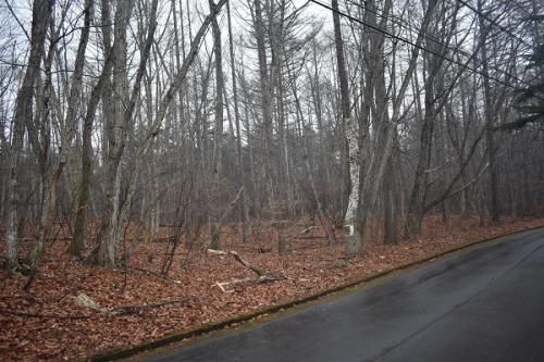 535 sqm Vacant Land for Sale in Tsumagoi, Gunma - 1,000,000 JPY - Thumbnail 3