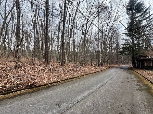 535 sqm Vacant Land for Sale in Tsumagoi, Gunma - 1,000,000 JPY - Thumbnail 2