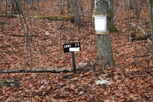 535 sqm Vacant Land for Sale in Tsumagoi, Gunma - 1,000,000 JPY - Thumbnail 4