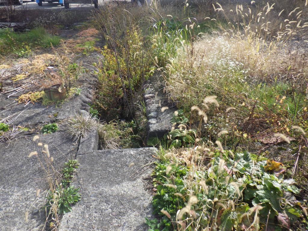 Vacant Land for Sale Near JR Tadami Station, Fukushima - Thumbnail 3