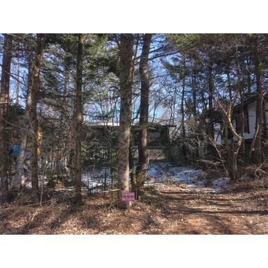 Vacant Residential Land for Sale in Tsumagoi Village, Gunma - Thumbnail 3