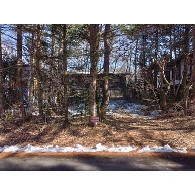 Vacant Residential Land for Sale in Tsumagoi Village, Gunma - Image 1