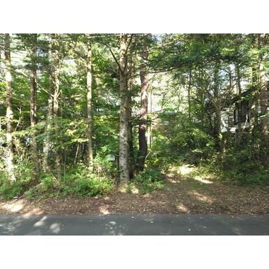 Vacant Residential Land for Sale in Tsumagoi Village, Gunma - Thumbnail 2