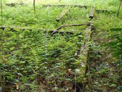 Vacant Land for Sale in Ebino City, Miyazaki - 840 sqm Plot — Land, Ebino, Miyazaki