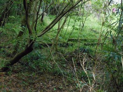 Vacant Land for Sale in Ebino City, Miyazaki - 840 sqm Plot — Land, Ebino, Miyazaki