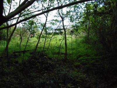 Vacant Land for Sale in Ebino City, Miyazaki - 840 sqm Plot — Land, Ebino, Miyazaki