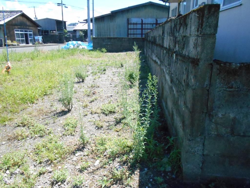Vacant Land for Sale in Ebino City, Miyazaki - 442 sqm - Thumbnail 3