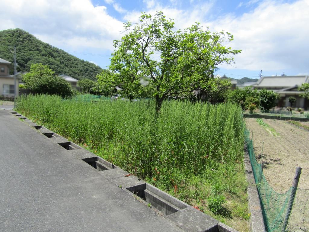 Sunlit Residential Land Plot Near Kamigori Station, Hyogo - Thumbnail 2