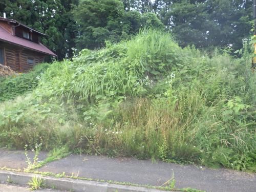 Land for Sale in Iizuna, Nagano - 413.74 sqm Plot - Thumbnail 2