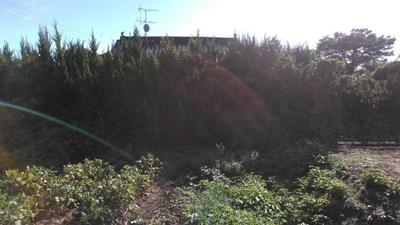 1938 Traditional House with Land in Nagi Town, Okayama — Image 11, Nagi, Okayama
