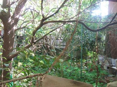 1 minute walk from Nishiimamachi bus stop - Property details - Okayama Prefecture Tsuyama City Vacant House Bank Site — Image 3, Murakami, Okayama