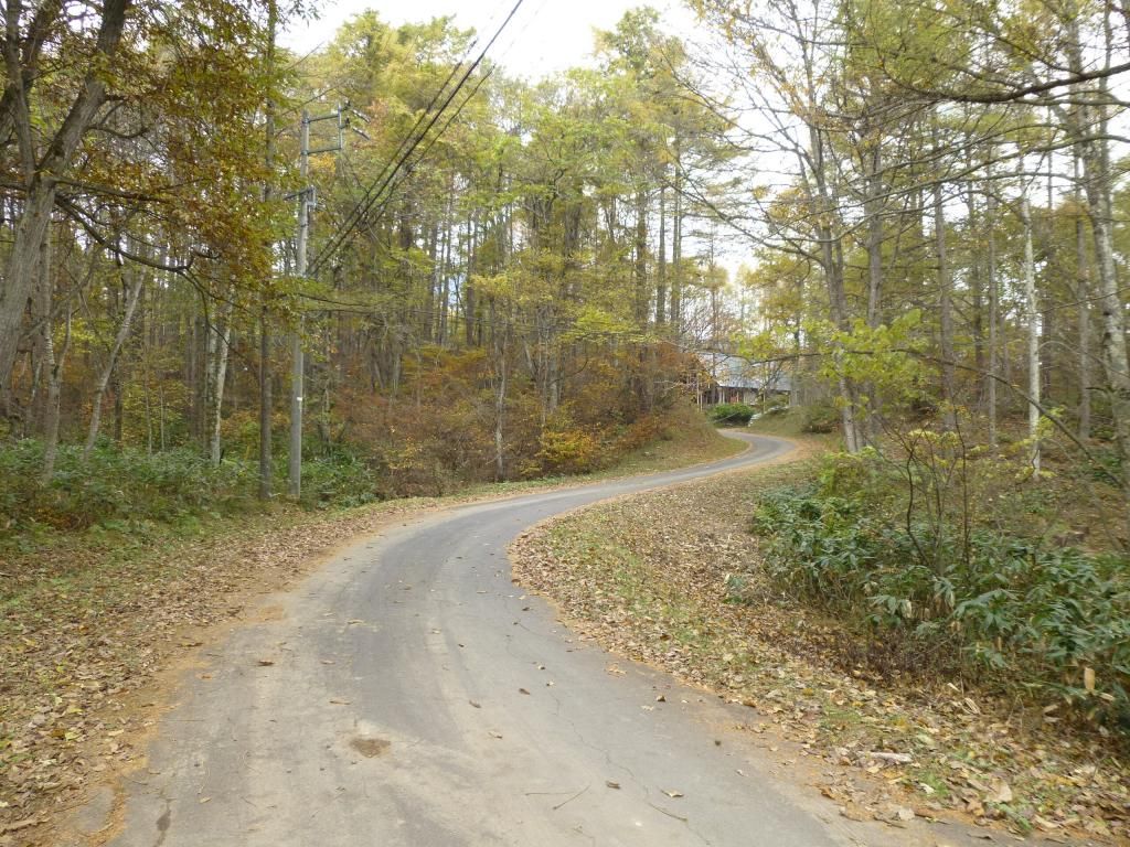 Vacant Highland Land for Sale in Iizuna, Nagano - Thumbnail 3