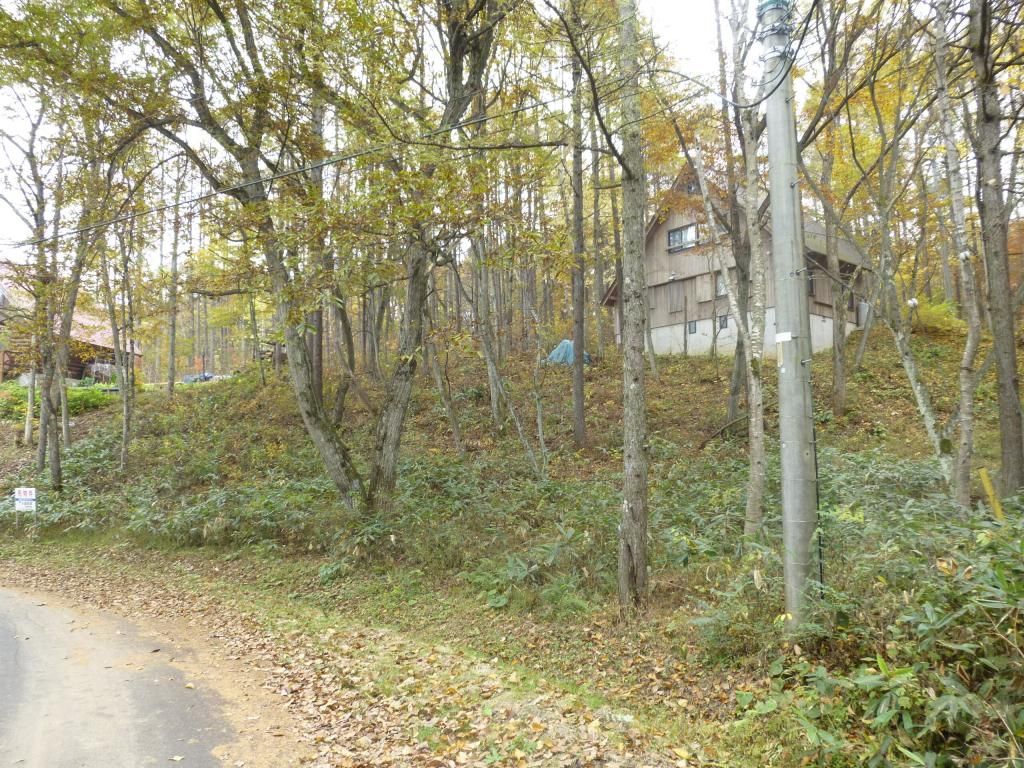 Vacant Highland Land for Sale in Iizuna, Nagano - Thumbnail 2
