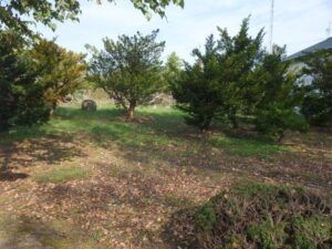 148.48 Tsubo Residential Land for Sale in Central Higashimokoto, Ozora - Thumbnail 2