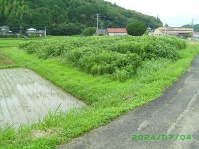 441.5 sqm Vacant Land for Sale in Takeo, Saga - Countryside Living — Land, Takeo, Saga