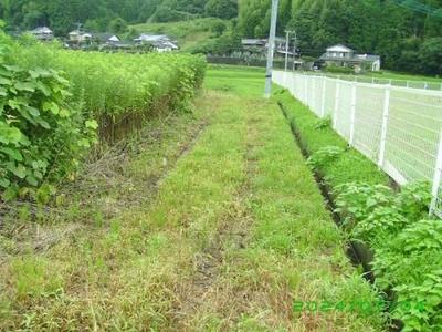 441.5 sqm Vacant Land for Sale in Takeo, Saga - Countryside Living — Land, Takeo, Saga