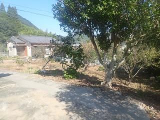 5K Detached House for Sale on Large Corner Lot in Tsukumi, Oita - Thumbnail 3