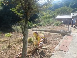 5K Detached House for Sale on Large Corner Lot in Tsukumi, Oita - Thumbnail 4