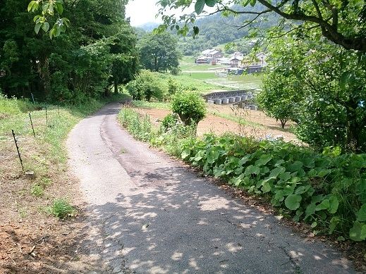 6DK Akiya Home with Mountain Views in Fukushima City - Thumbnail 4