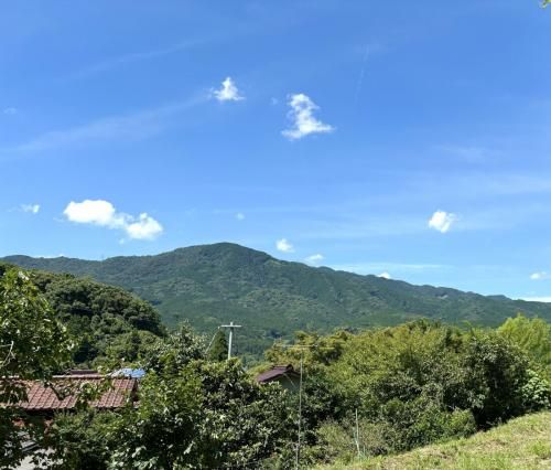 Forest Plot for Sale in Nakagawa City, Fukuoka - 1129.3 sqm - Image 1