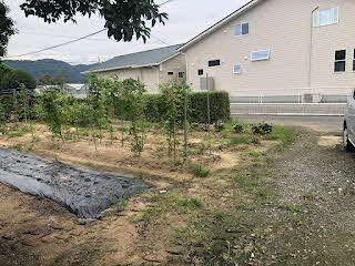603 sqm Land for Sale in Uki City, Kumamoto - Vacant Corner Lot - Thumbnail 3