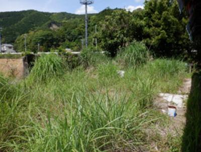 For sale detached house [97] - Property details - Mie Prefecture Minamiise Town Vacant House Bank Site — Image 1, Minamiise, Mie