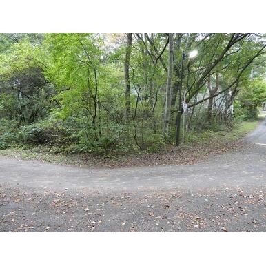 Vacant Land for Sale in Tsumagoi Village, Gunma - 266 sqm Plot - Thumbnail 2