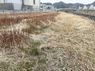 363m² Agricultural Land Plot in Kadogawa, Miyazaki - Riverside Location — Land, Kadokawa, Miyazaki