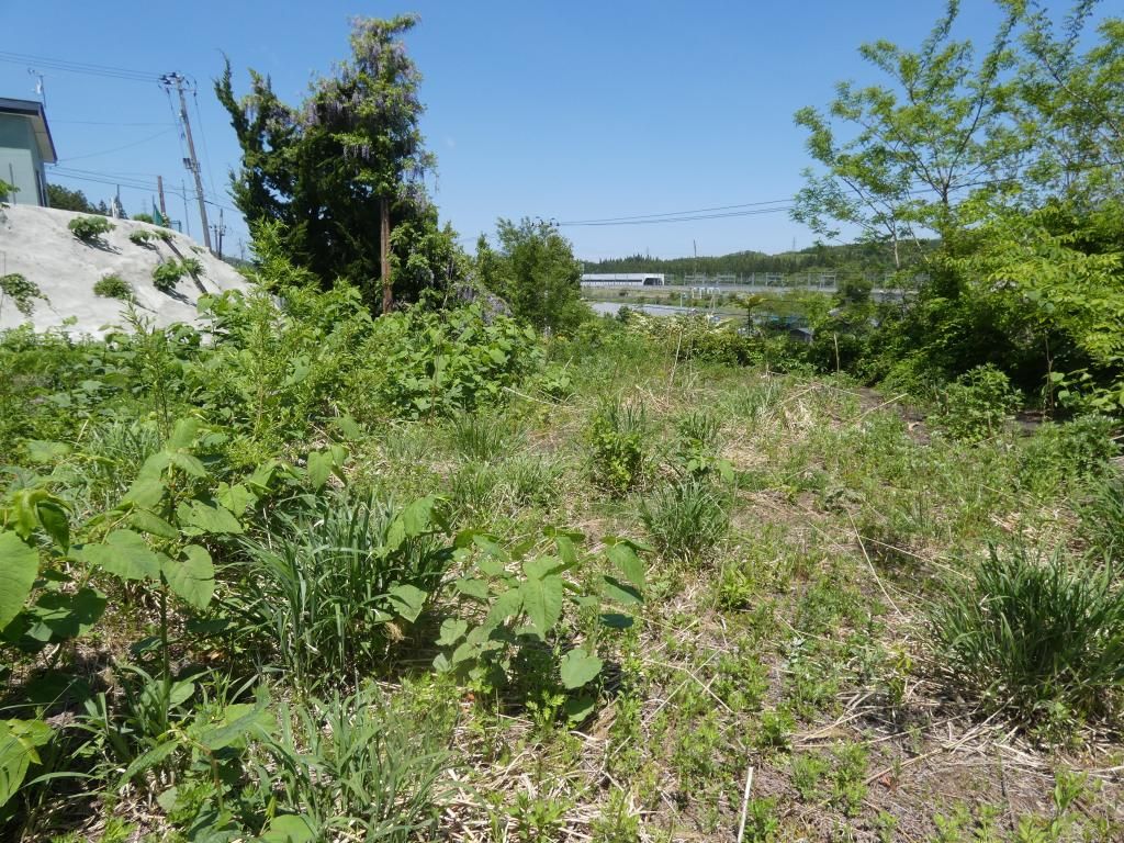 468.67 sqm Land for Sale in Imabetsu, Aomori - Thumbnail 4