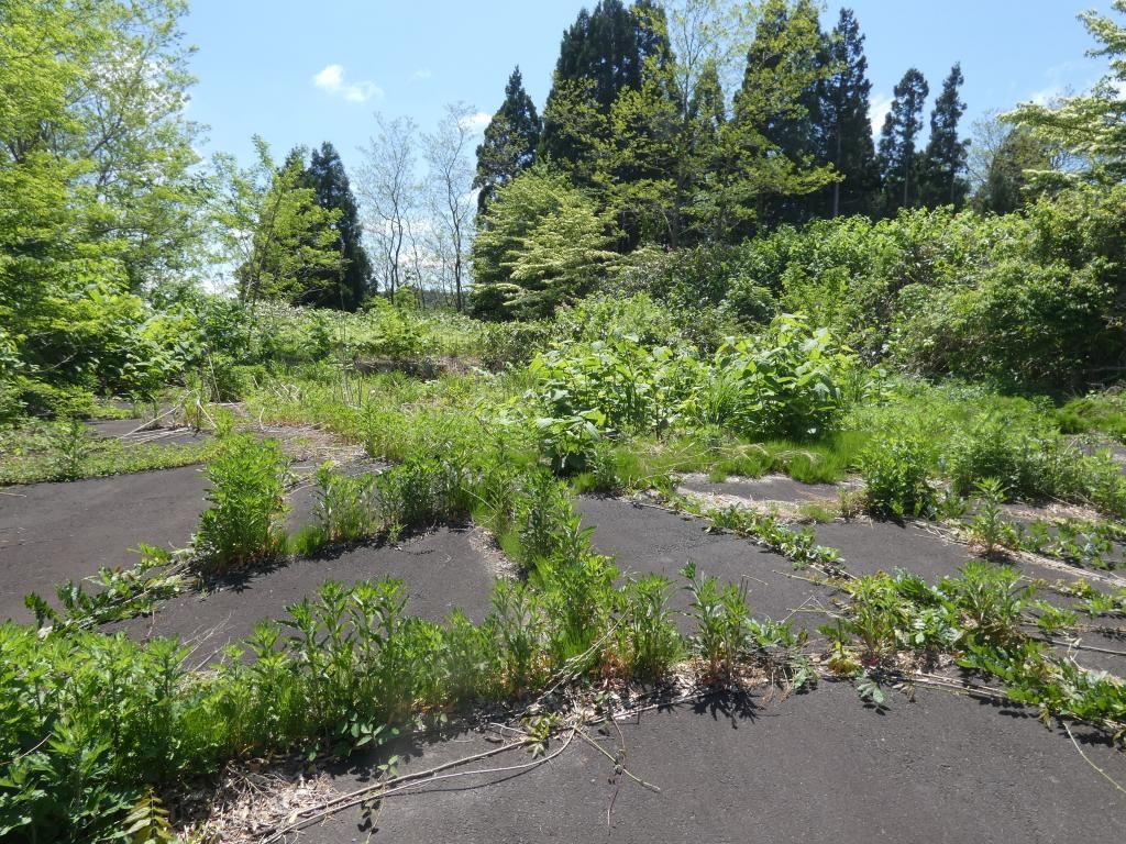 468.67 sqm Land for Sale in Imabetsu, Aomori - Thumbnail 2