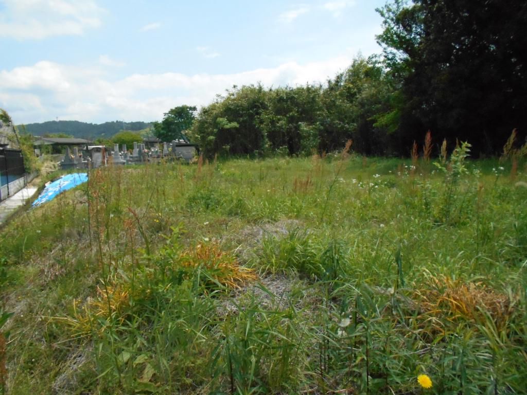 661 sqm Vacant Land for Sale in Ebino, Miyazaki - Prime Buildable Plot - Thumbnail 2