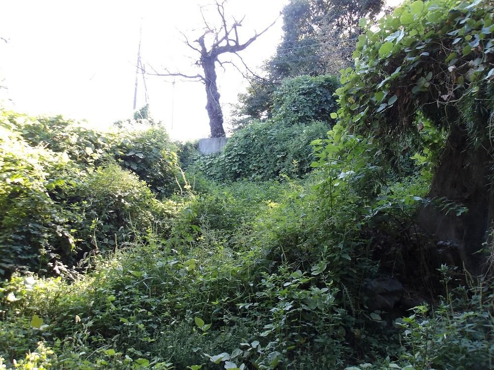 Riverside Vacant Land for Sale in Kiryu, Gunma - 279.38 sqm - Thumbnail 2