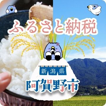 Vacant Land for Sale in Agonoshi, Niigata - Near Hyoko Lake - Thumbnail 3