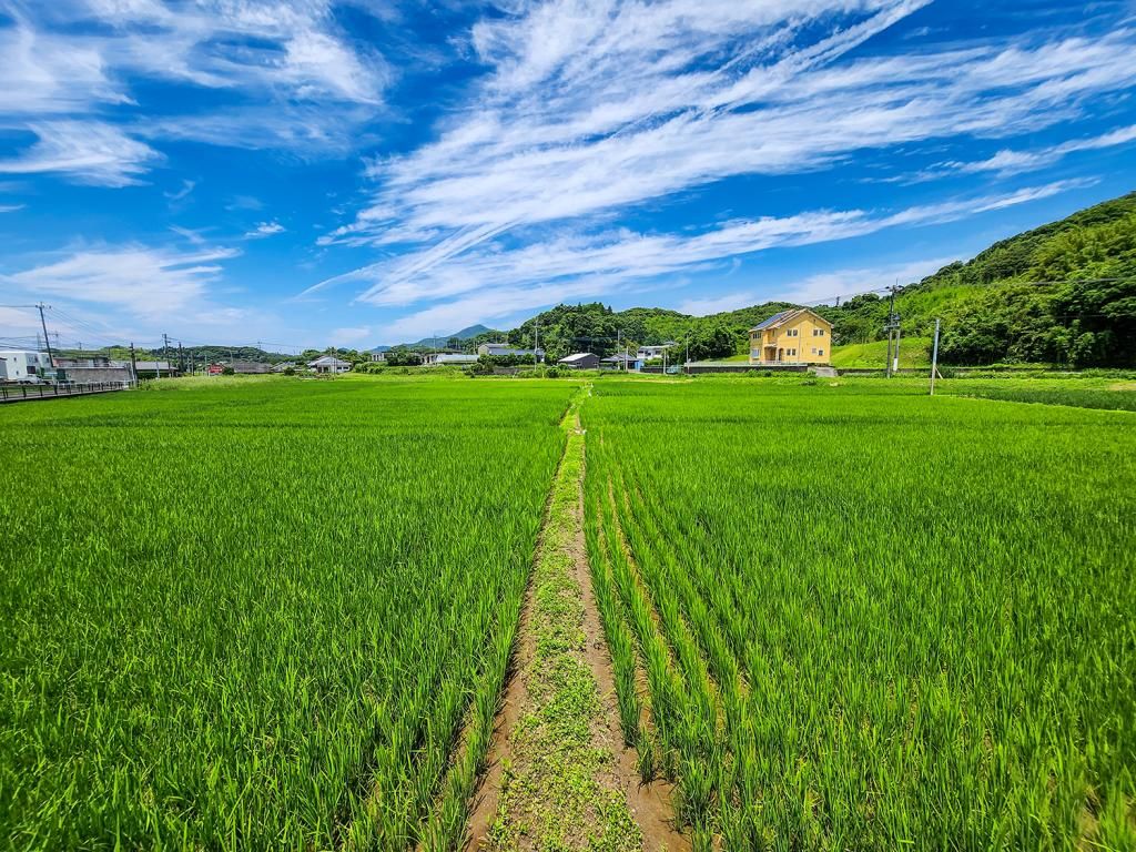 4DK Detached House for Sale in Makurazaki, Kagoshima - Thumbnail 4