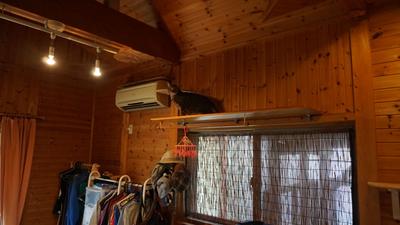 Spacious 1LDK Home with Former Diner in Yaotsu — Image 4, Yaotsu, Gifu
