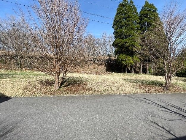 Vacant Land for Sale in Kokonoe, Oita - 598 sqm Plot - Thumbnail 2