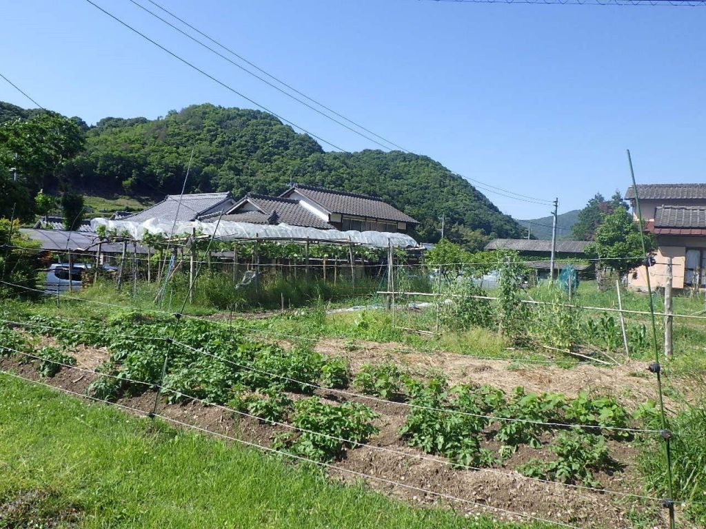 Century-Old 6DK House on 564m² Land in Akaiwa, Okayama - Thumbnail 3