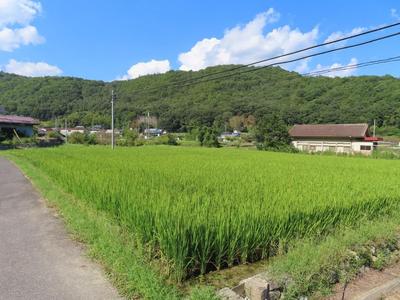Agricultural Land for Sale in Yakage Town, Okayama — Land, Yakage, Okayama