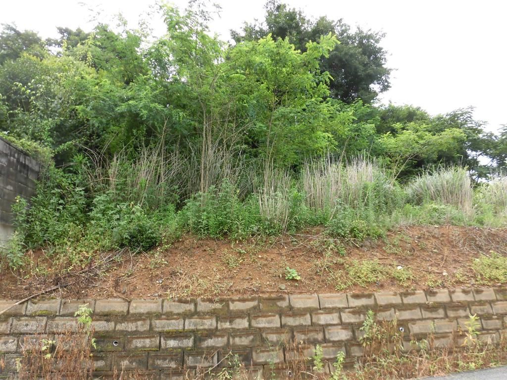 336 sqm Vacant Land for Sale in Kitaibaraki, Ibaraki - Thumbnail 3