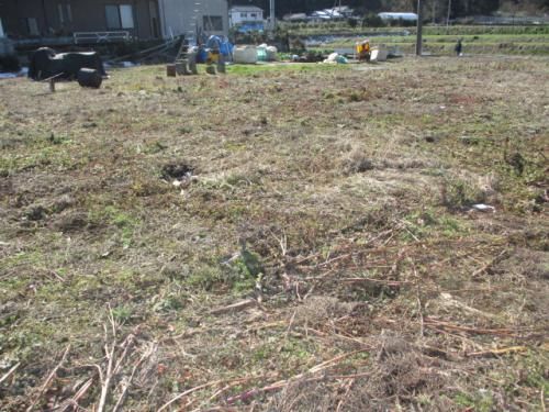 773.7 sqm Vacant Land for Sale in Taku City, Saga - Thumbnail 3
