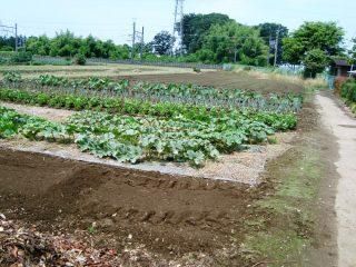 528 sqm Vacant Land Plot for Sale in Tochigi City - Thumbnail 3