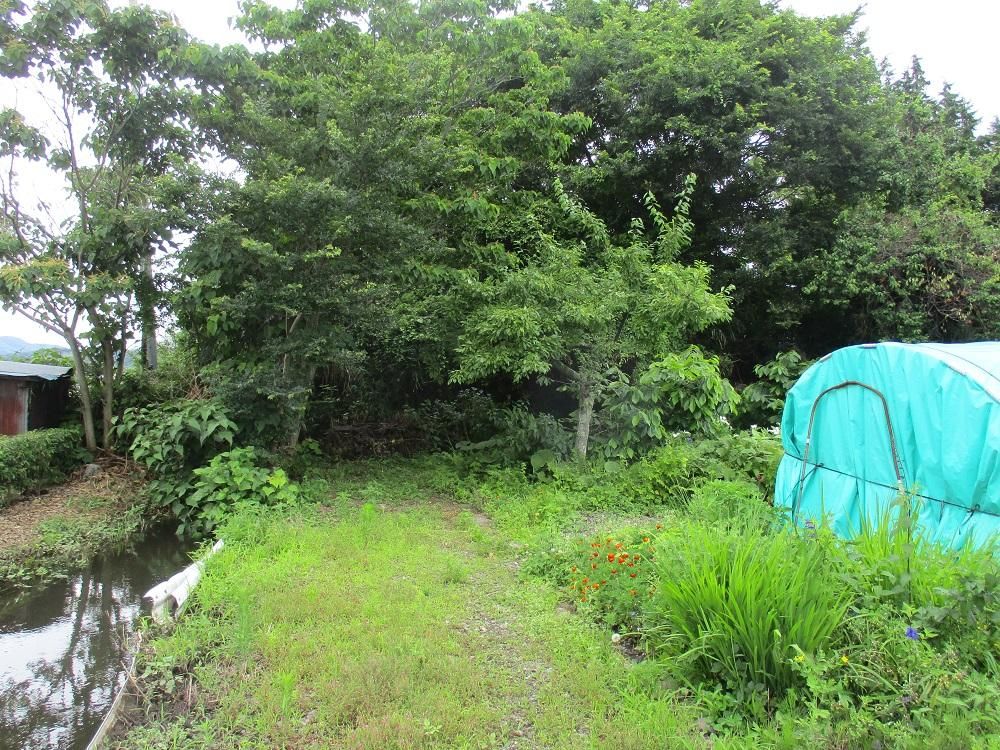 380 sqm Residential Land Plot for Sale in Kanuma, Tochigi - Thumbnail 3