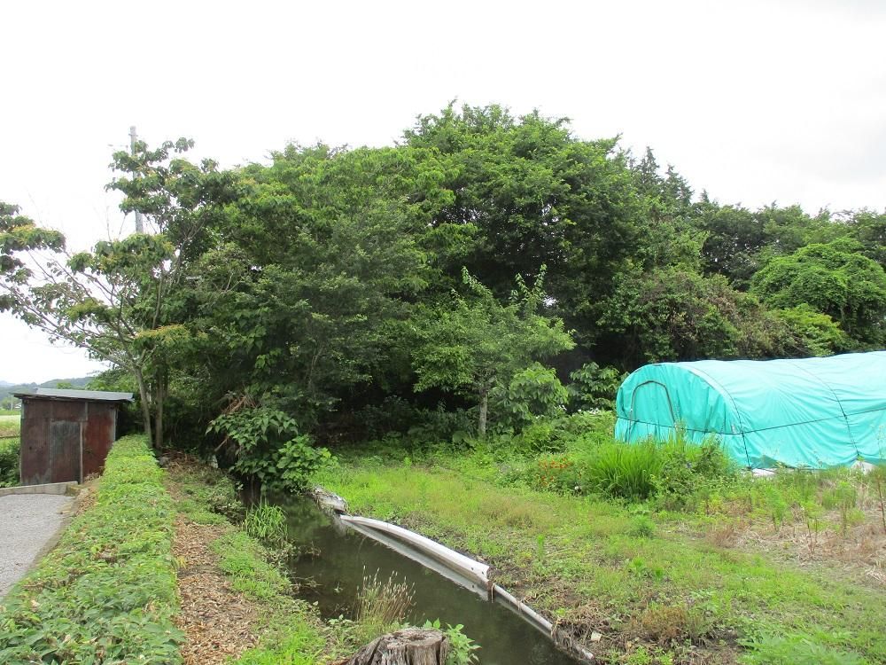 380 sqm Residential Land Plot for Sale in Kanuma, Tochigi - Thumbnail 4